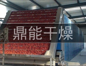北京五谷道场食品开发有限公司 烘干物料：素食面包
